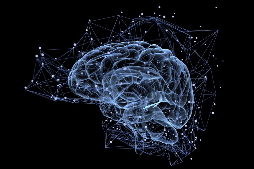 A Neurogênese no Centro de Processamento das Emoções do Cérebro